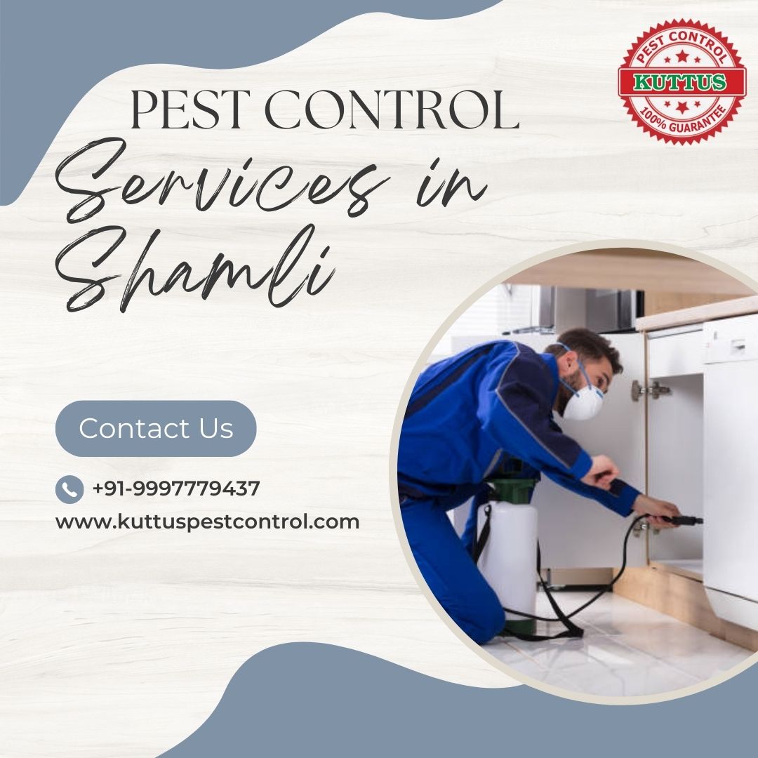 Termite Pest Control in Shamli